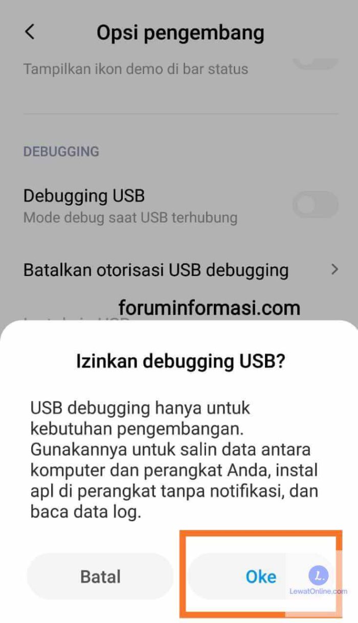 Cari menu USB Debugging