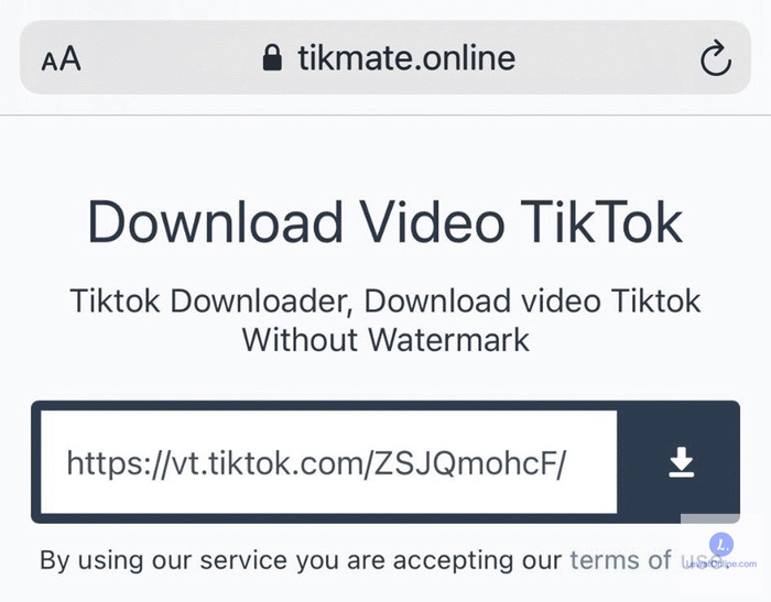 Tempel tautan video TikTok pada kolom Paste Video Link